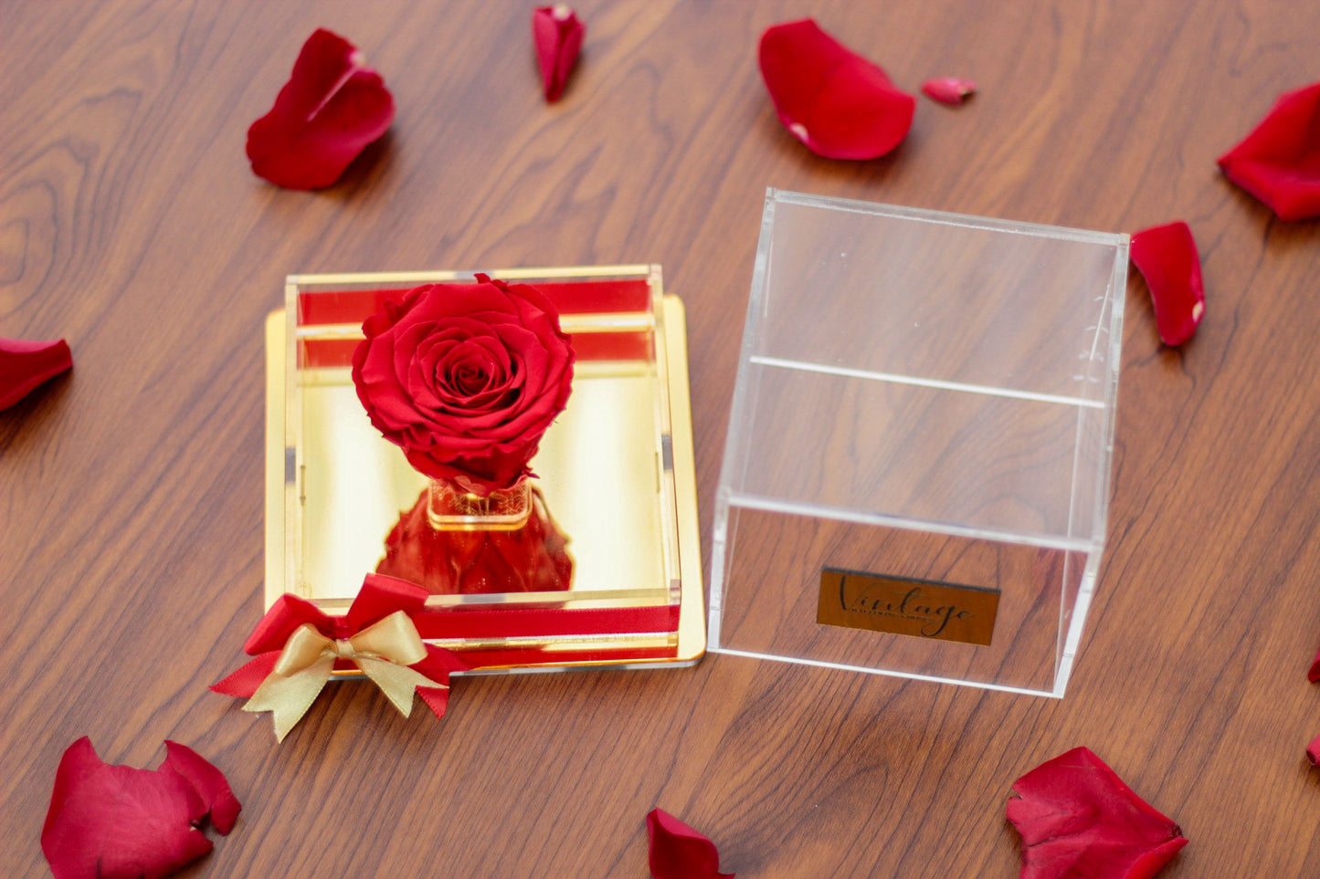 Preserved Rose